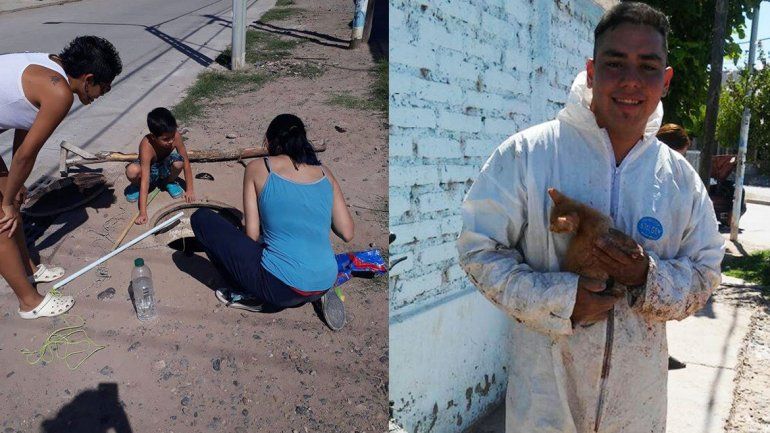 Vecinos se unieron y rescataron a un gatito que estaba atrapado en una alcantarilla