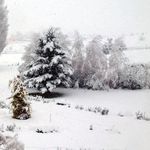 Asimismo, las temperaturas serán muy bajas, con máximas de apenas 3°C el jueves y cerca de 1ºC el viernes y muy baja sensación térmica. | LM Neuquen Asimismo, las temperaturas serán muy bajas, con máximas de apenas 3°C el jueves y cerca de 1ºC el viernes y muy baja sensación térmica.