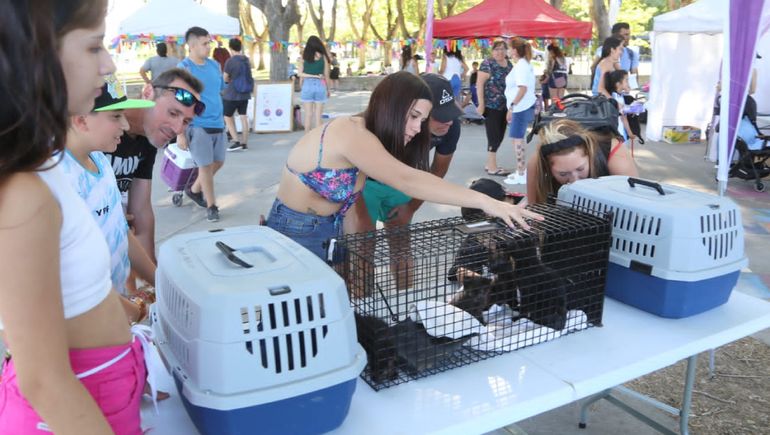 Adoptaron a 18 animales en las jornadas del Paseo de la Costa