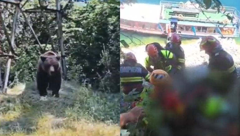 El motociclista fue llevado por el oso hacia un desnivel de unos 60 metros, donde la Policía lo encontró muerto. El motociclista fue llevado por el oso hacia un desnivel de unos 60 metros, donde la Policía lo encontró muerto.