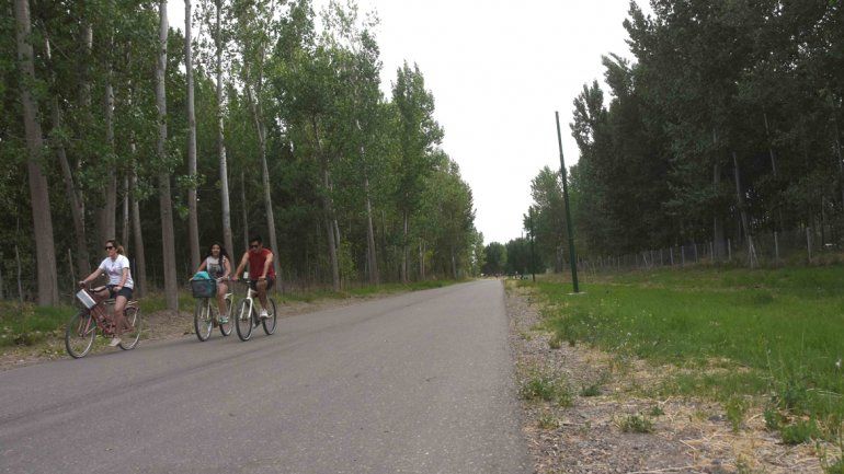 La bicicleta robada a una de las víctimas está valuada en 20 mil pesos.