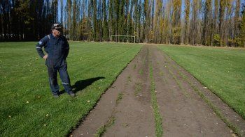 salen a vender el cesped de sus canchas para sobrevivir salen a vender el cesped de sus canchas para sobrevivir