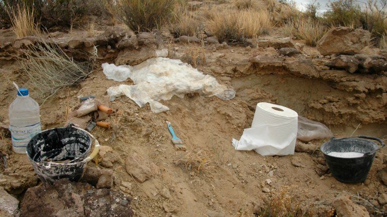 Trabajos de rescate de una pieza fosilizada denunciada al área de Patrimonio Cultural de la Provincia.