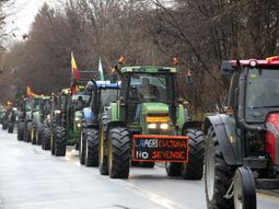 Europa responde a las protestas del campo con un mecanismo rápido para frenar importaciones que hundan los precios agrícolas. Europa responde a las protestas del campo con un mecanismo rápido para frenar importaciones que hundan los precios agrícolas.