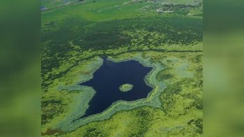 los humedales ocupan el 21,5% de la argentina los humedales ocupan el 21,5% de la argentina