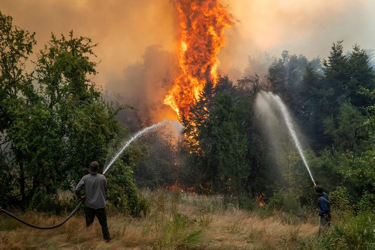 Pese a los esfuerzos de toda la poblaci&oacute;n, el fuego avanzo sobre gran parte de los bosques de la Patagonia.