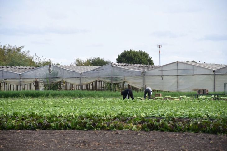 El cierre afecta a la red de agencias territoriales que brindaban apoyo a productores del cintur&oacute;n frutihort&iacute;cola, uno de los principales polos de abastecimiento del pa&iacute;s.