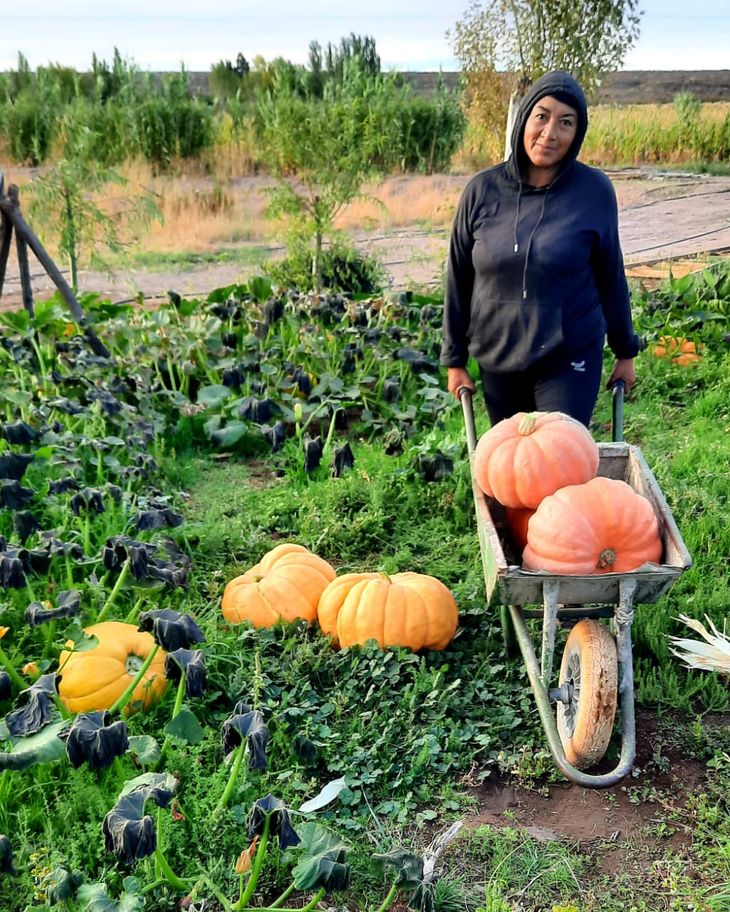 Maru posa para la ya clásica postal del concurso: zapallos en carretilla. Foto: gentileza. Maru posa para la ya clásica postal del concurso: zapallos en carretilla. Foto: gentileza.