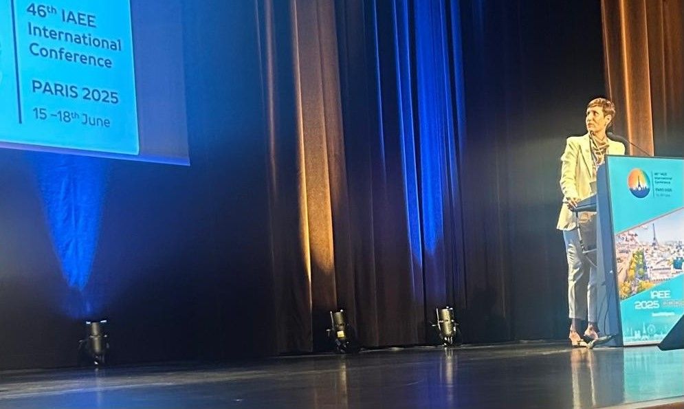 Latorre formó parte del panel sobre transición energética en América Latina, junto a referentes de Brasil, Chile y Colombia. Foto: gobierno de Mendoza.