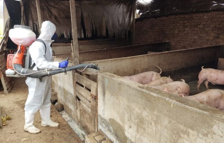 El Senasa reforzó controles para evitar que productos como el jamón ingresen con riesgo sanitario al país.