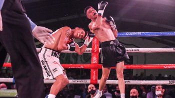 pelean gauto, lemos, sanson y corzo y hay promesa de nocaut: hora y tv pelean gauto, lemos, sanson y corzo y hay promesa de nocaut: hora y tv