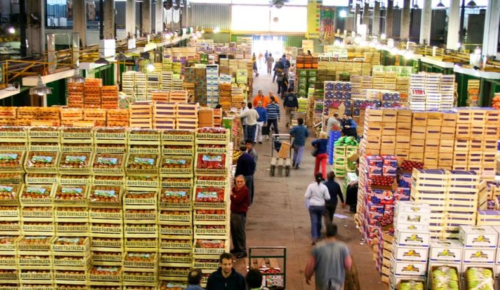 La ampliación de la oferta de frutas en el mercado argentino obliga a la producción regional a disputar consumidores con productos que hasta hace pocos años ocupaban nichos marginales. La ampliación de la oferta de frutas en el mercado argentino obliga a la producción regional a disputar consumidores con productos que hasta hace pocos años ocupaban nichos marginales.