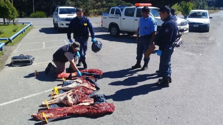 Atraparon a un cuatrero con 100 kilos de carne de ciervo
