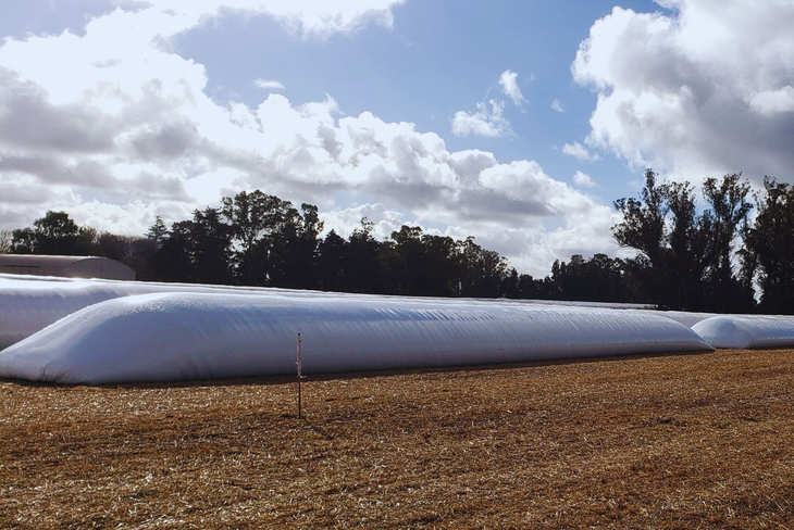 El control de calidad debe comenzar antes del llenado de la bolsa. Foto: INTA El control de calidad debe comenzar antes del llenado de la bolsa. Foto: INTA