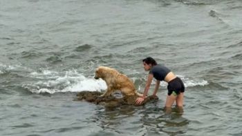 Nadia Mazza, la rescatista independiente de Comodoro Rivadavia, en plena maniobra frente a la costanera. Nadia Mazza, la rescatista independiente de Comodoro Rivadavia, en plena maniobra frente a la costanera.