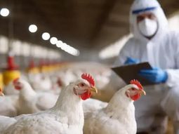 El Ministerio de Salud activó protocolos de vigilancia epidemiológica para evitar posibles contagios. El Ministerio de Salud activó protocolos de vigilancia epidemiológica para evitar posibles contagios.