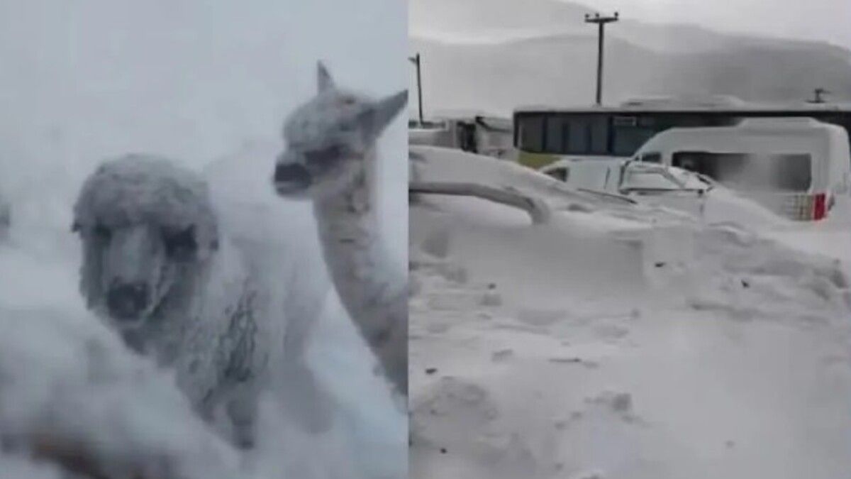 Mineros atrapados en la nieve, 27 °C bajo cero y vientos de 170 km/h: fuerte temporal en Argentina