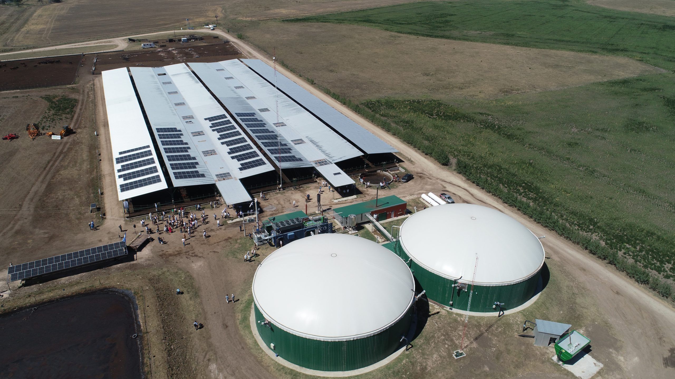 Una planta transforma desechos de un feed-lot en energía
