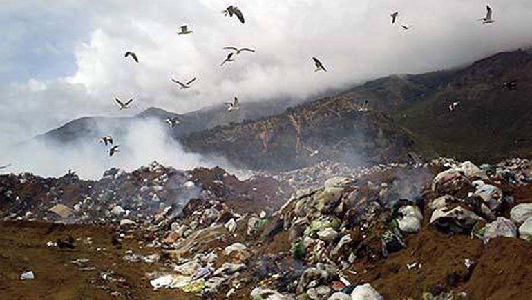 Se durmió en un contenedor de basura y murió aplastado por el camión compactador