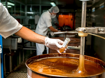 El mercado de Estados Unidos concentra casi la totalidad de las compras del bloque USMCA a la apicultura local.