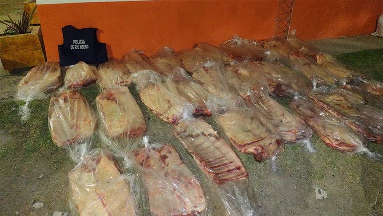 Otra vez carne ilegal: decomisaron 30 costillares
