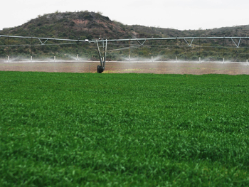 Productores rionegrinos analizan paneles solares para incorporar energía renovable bajo el régimen RIMI.