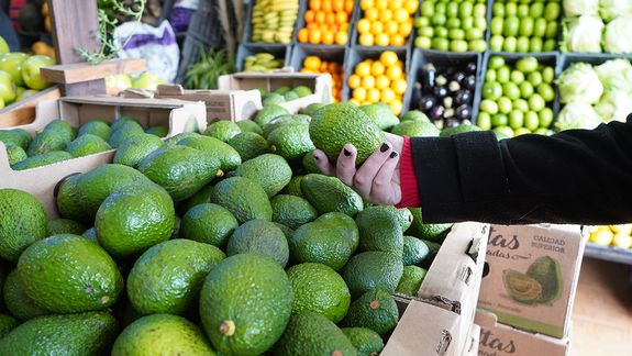 Todas las vitaminas desconocidas que tiene la palta y los beneficios para el organismo