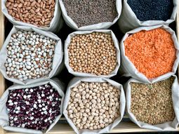 El consumo per cápita en Argentina es notablemente bajo. Foto: Freepik El consumo per cápita en Argentina es notablemente bajo. Foto: Freepik