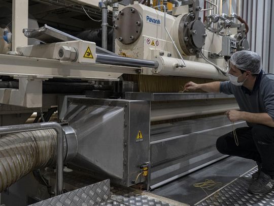 El proyecto ya comenzó y generó 200 empleos, con la promesa de sumar otros 500 en los próximos meses.