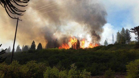 Un incendio consumió diez hectáreas de un bosque nativo en Villa Pehuenia