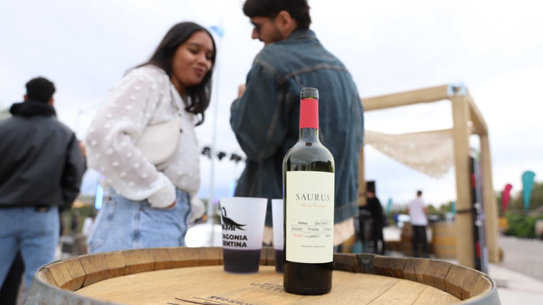 Vendimia neuquina: la apuesta de la Provincia a consolidar la ruta del vino