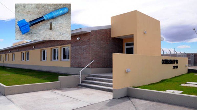 Encontró una granada mientras sacaba un árbol del patio