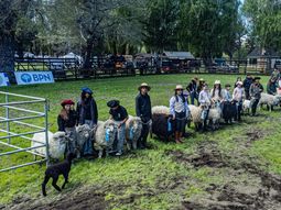 Jóvenes de entre 9 y 18 años lideran el proceso de recría y amanse en el Concurso Tromen 2026. Jóvenes de entre 9 y 18 años lideran el proceso de recría y amanse en el Concurso Tromen 2026.