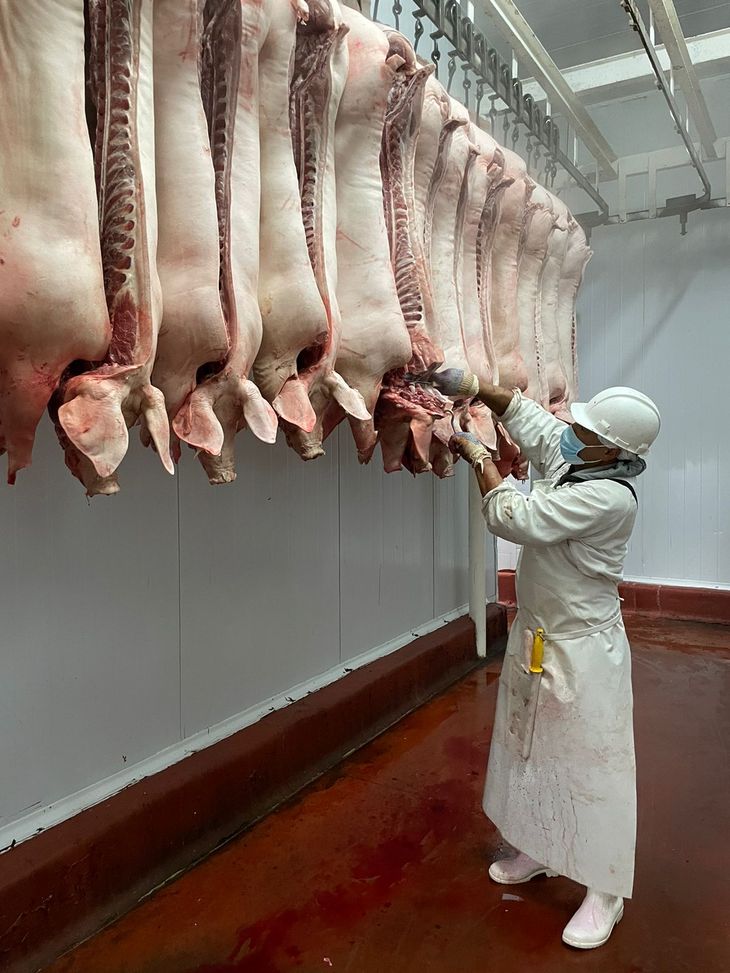 La producción mensual llega a las 250 toneladas.