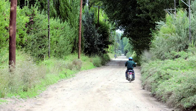La zona de chacras de Centenario y Vista Alegre dejó de ser exclusivamente para la fruticultura. El Mercado Concentrador recibe la verdura de los productores hortícolas de la zona. La zona de chacras de Centenario y Vista Alegre dejó de ser exclusivamente para la fruticultura. El Mercado Concentrador recibe la verdura de los productores hortícolas de la zona.