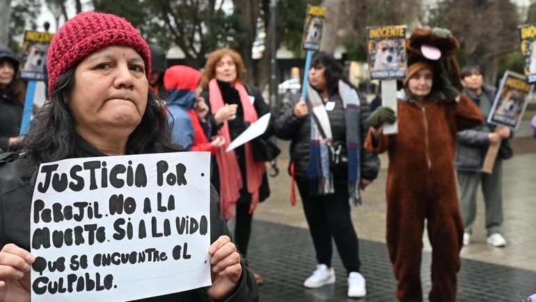 Más confusión en el caso Perejil: los padres de la nena que murió fueron a una marcha por el perro preso.