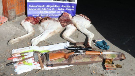 Detuvieron a tres hombres que cazaban un guanaco