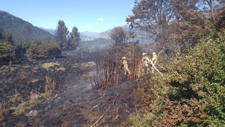 Hubo cuatro incendios en la provincia de Neuquén este domingo: todos fueron por negligencia humana
