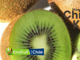 El kiwi de Chile es un producto reconocido a nivel mundial.