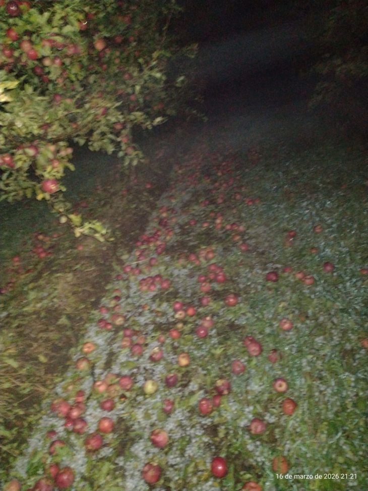 El impacto fue inmediato y brutal: cultivos destruidos y escenas de emergencia en toda la zona.