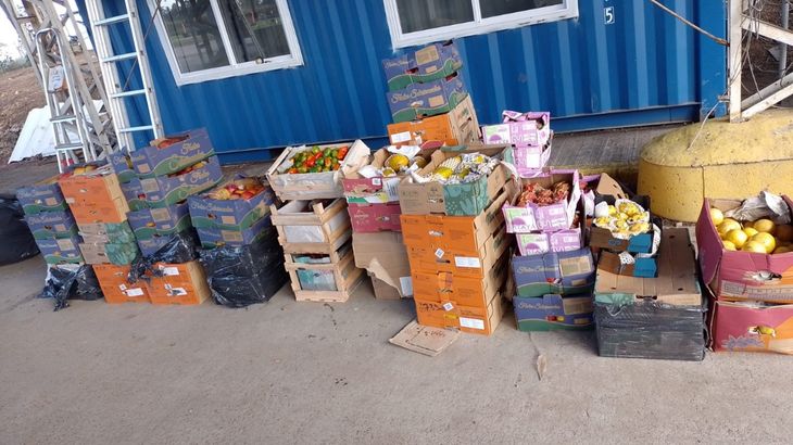 Los agentes del puesto sanitario descubrieron cajas con frutas ocultas debajo de bolsas de consorcio que contenían ropa. | Más Produccion Los agentes del puesto sanitario descubrieron cajas con frutas ocultas debajo de bolsas de consorcio que contenían ropa.