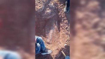 La sorpresa que se llevó un vecino paseando por la barda en Cuenca XVI