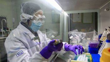 una vacuna tuvo buenos resultados en monos una vacuna tuvo buenos resultados en monos