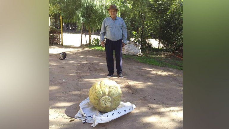 La historia del hombre que cosechó un zapallo de 42 kilos