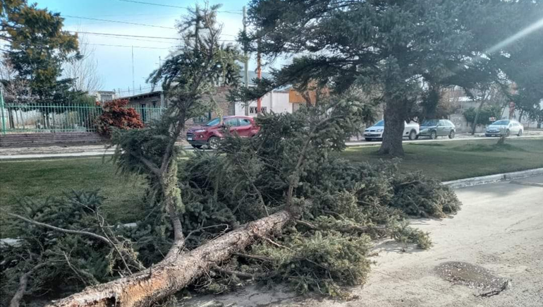 El viento hizo un desastre en Zapala: voladuras de techos y caída de postes