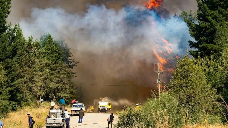 Alerta Patagonia: lanzan campaña de prevención de incendios forestales en la región