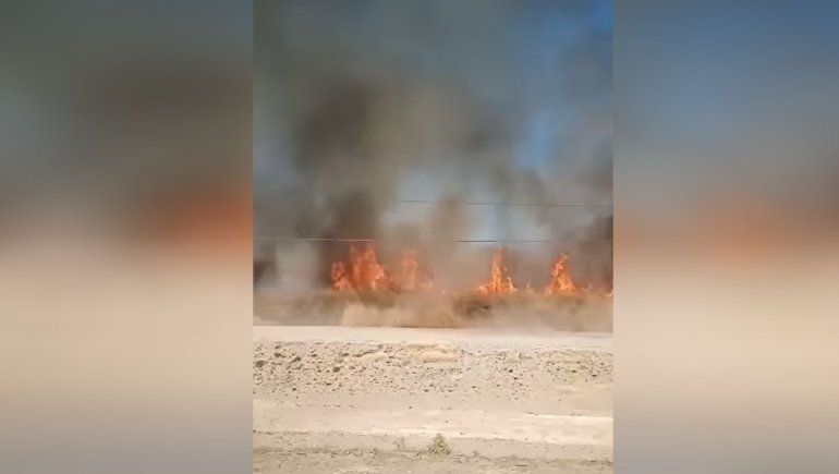 Plottier tuvo cuatro incendios de pastizales por día