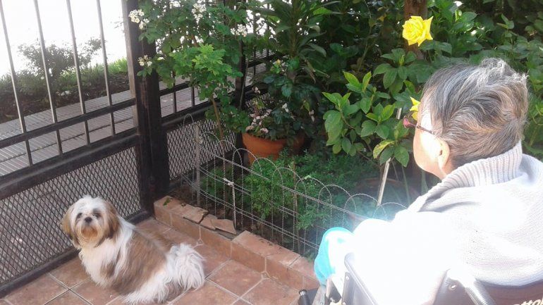 Desesperada búsqueda de Coco, el perrito que sirve como terapia para una abuela