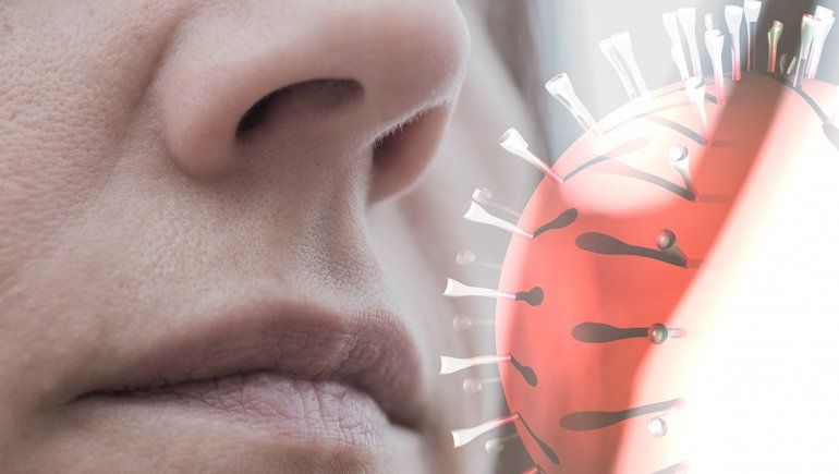 Los curados del virus pueden seguir con pérdida de olfato