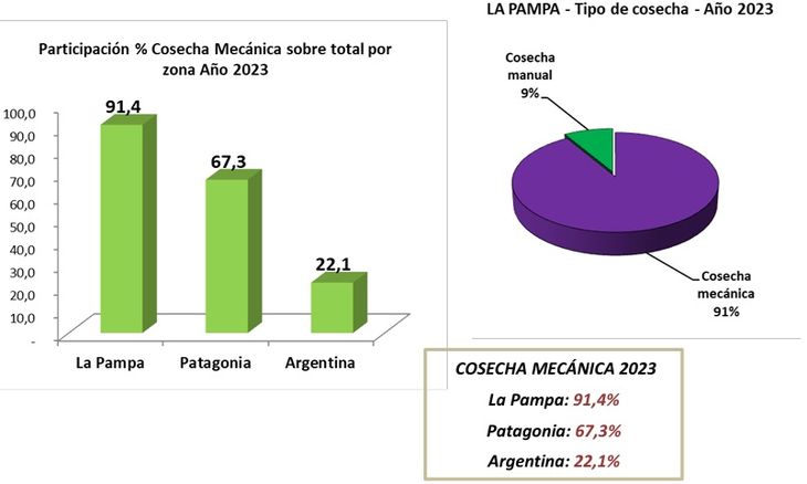 La mecanización es otra de las características distintivas de la producción. Gráfico: INV La mecanización es otra de las características distintivas de la producción. Gráfico: INV